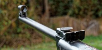 Полицай застреля зет си – горски стражар, по време на лов в землището на Дулово