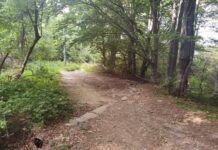 Алексей Петров е прострелян два пъти с автомат, използвани са специални патрони