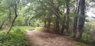 Алексей Петров е прострелян два пъти с автомат, използвани са специални патрони