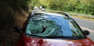 Камък падна върху кола в Кресненското дефиле