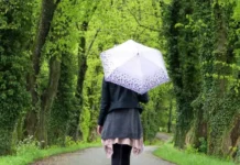 Облаци и дъжд и утре, 19 ноември, вятърът ще отслабне