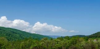 Колоездач загина в Лозенската планина