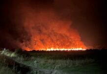 Частично бедствено положение в Казанлък заради големия пожар