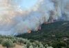 Министерство на външните работи: Ветровете ще усложнят борбата с пожарите в близост до българската граница