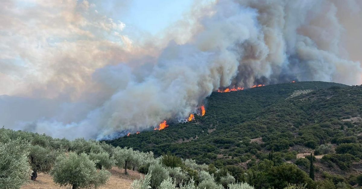 Пожарната обстановка в Гърция продължава да бъде усложнена като се
