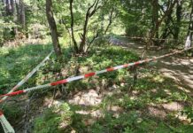 Убиецът на Алексей Петров гледал със страшни очи и карал колело