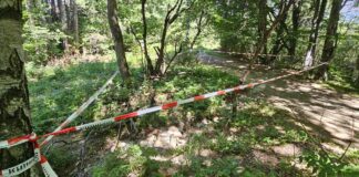 Акцията в „Лев инс“-търсят връзка между убийствата на Алексей Петров и Марто „Нотариуса“?