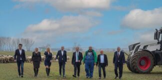 Всяка кройка на жълтопаветната общност, всеки маньовър се оказва катастрофа