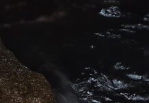 Екип на Военноморските сили ще обезврежда дрона в Тюленово