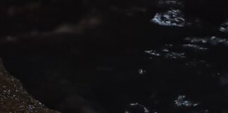 Военните взривиха дрона с бомбата