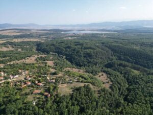 Икономическа полиция разследва незаконна сеч в горите на Ихтиман
