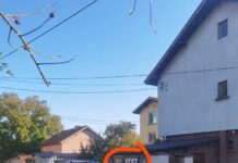 Кандидат-кметица на ихтиманско село спипана с крадени дърва