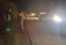 Гард на НСО купува гласове с крадени дърва в Ихтиманско? (Видео)