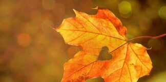 По-топъл октомври от обичайното, с температури до 28 градуса