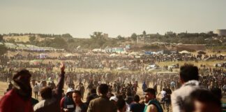 Но защо палестинците да идват в Европа? За да убиват учители ли? Нека да започнат нов живот в Русия, Иран, Китай