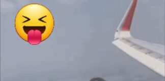 Кирил Петков в Уикипедия – политик, предприемач, спасител, първият човек, летял на 8000 м с хеликоптер…