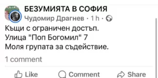 5 дни след снега в София безобразието продължава: недостъпни тротоари, паднали клони и боклук навсякъде