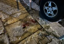 Вижте как полицаи пребиват паднал на земята фен (Видео)