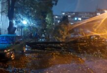 Обявиха бедствено положение във Варна, жена загина, след като дърво падна върху нея