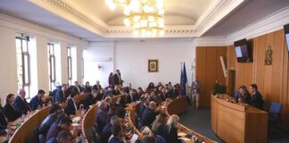 След „розовия терор“ „Синя София“ внесе в СОС проекторешение за връщане на старата организация на движение в центъра на София