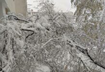 Само за три дни 490 пострадали на леда потърсиха помощ в „Пирогов“