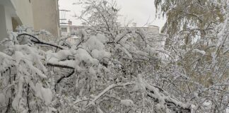 Провалът на Терзиев и сие продължава – София посрещна понеделник сутрин със заледени, непочистени тротоари и паднали дървета