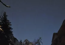 И Сибина Григорова възмутена: София така ли ще си стои? Клони на всяка улица, ледени пързалки по тротоарите