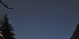 И Сибина Григорова възмутена: София така ли ще си стои? Клони на всяка улица, ледени пързалки по тротоарите