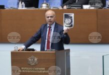 Торта с образа на паметника на СА разгневи БСП, Свиленски нарече ДБ „новите варвари“