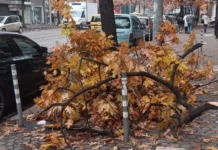 Една седмица след бурята, на 200 метра от общината…