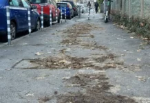 Журналистката Полина Паунова: Повече от месец след снега в “Лозенец” никой не си мърда пръста да почисти