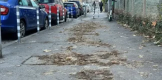 Журналистката Полина Паунова: Повече от месец след снега в “Лозенец” никой не си мърда пръста да почисти