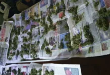 Столичанин си направил оранжерия за канабис в центъра на София