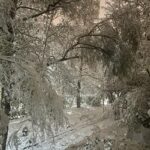 Ледено утро и максимални температури от 0°до 7° днес, 9 януари