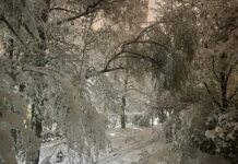 Първи сняг падна в Румъния