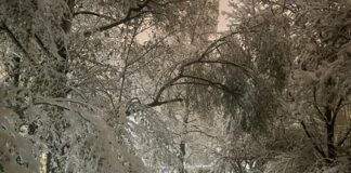 Най-студените сутрини ще са в петък и събота