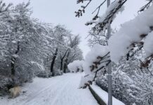 Спасиха четири семейства с деца от хижа „Планинарска песен“ на Витоша