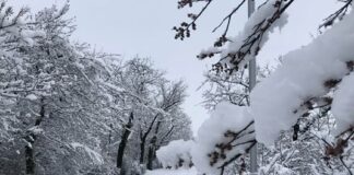 Десетки населени места без ток заради снеговалежа