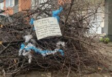 Жители на „Овча купел“ сами събраха паднали клони, украсиха ги с гирлянди като коледен подарък за общината