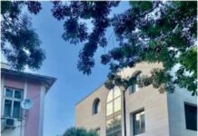 „Битката за Чаталджа“ – кой продал, продал. Кака се ожени