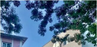 Адвокатът на бившата фирма на Асен Василев и на ищеца срещу нея – един и същ