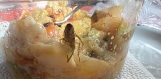 Майка откри хлебарка в храна от детска кухня в Монтана