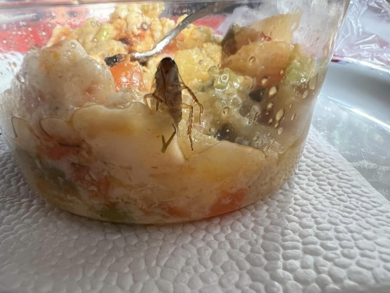 Хлебарки в детска кухня Майка открила насекомо в купичката с