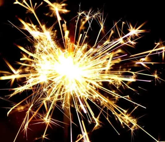 Пиратка разкъса пръстите на дете в Бургаско