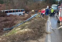 10 души са пострадали при катастрофата на автобуса с гръцки туристи