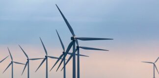 Общинският съвет във Варна гласува против вятърните паркове в Черно море