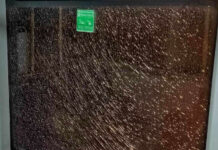 Стрелба по автобус на градския транспорт в Добрич