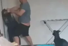 Арестуваха насилника от Бобов дол, пребил съпругата си пред очите на детето им