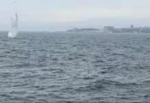 Обезвредиха плаващата мина край Варна