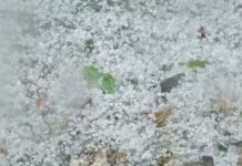 Градушка унищожи реколтата в село Ваксево